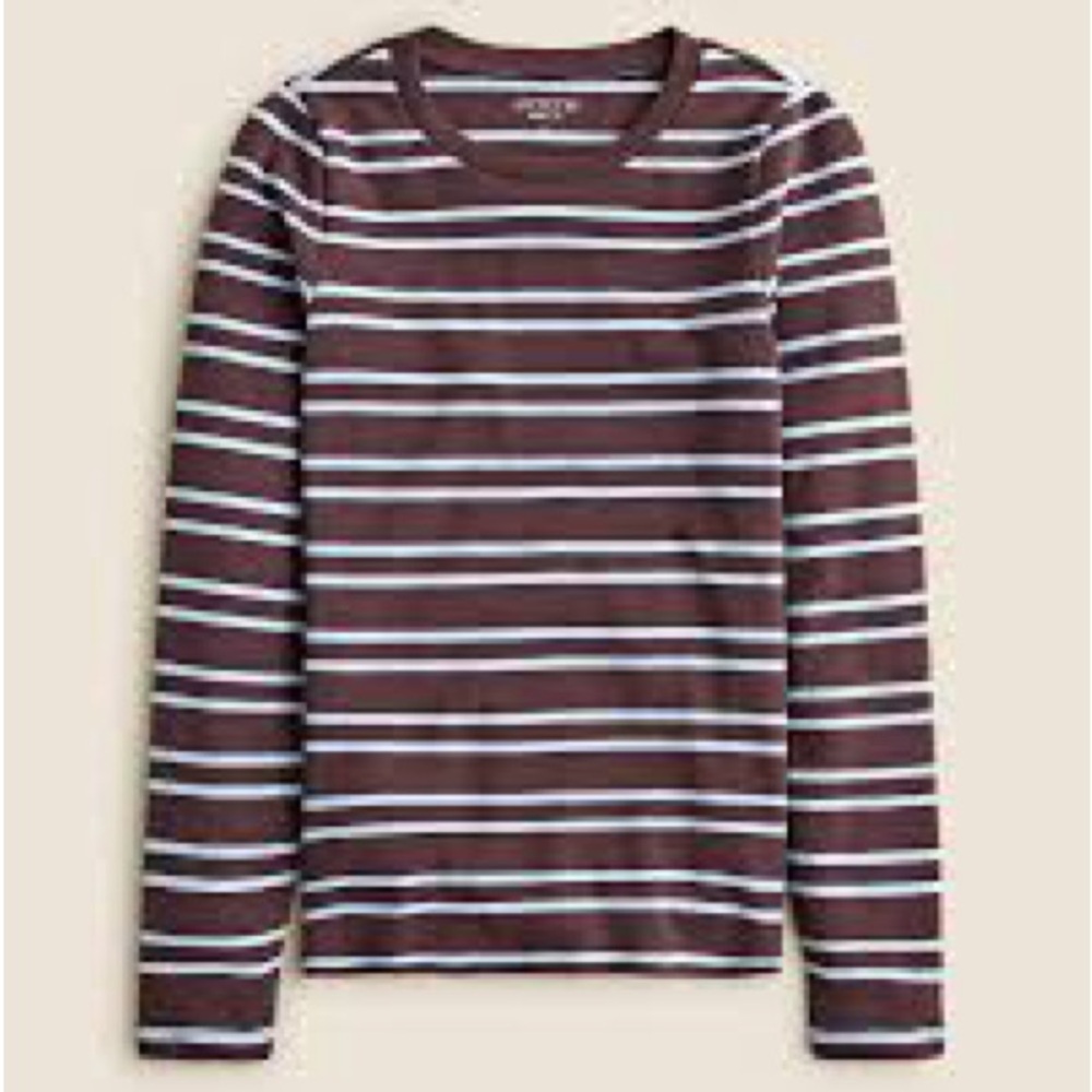 J Crew Perfect Fit long sleeve crewneck T-shirt